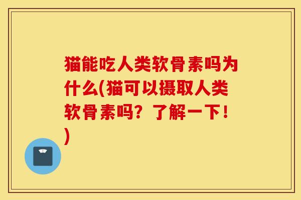 猫能吃人类软骨素吗为什么(猫可以摄取人类软骨素吗？了解一下！)