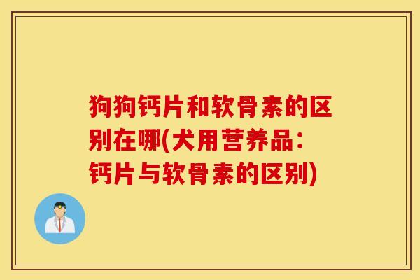 狗狗钙片和软骨素的区别在哪(犬用营养品：钙片与软骨素的区别)