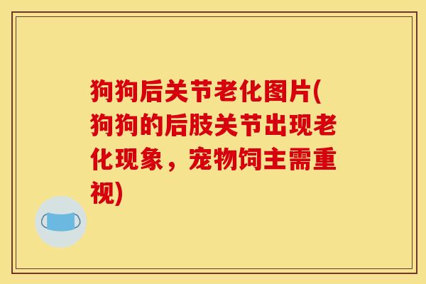 狗狗后关节老化图片(狗狗的后肢关节出现老化现象，宠物饲主需重视)