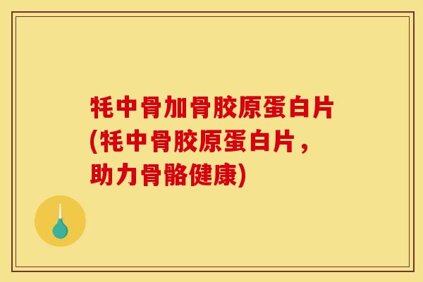 牦中骨加骨胶原蛋白片(牦中骨胶原蛋白片，助力骨骼健康)