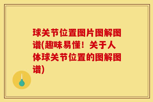 球关节位置图片图解图谱(趣味易懂！关于人体球关节位置的图解图谱)