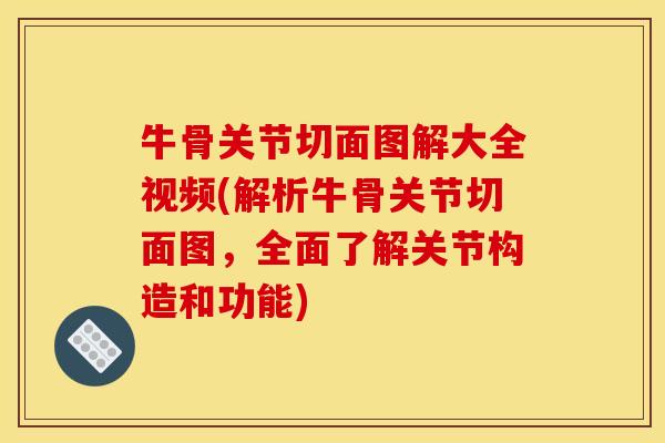 牛骨关节切面图解大全视频(解析牛骨关节切面图，全面了解关节构造和功能)