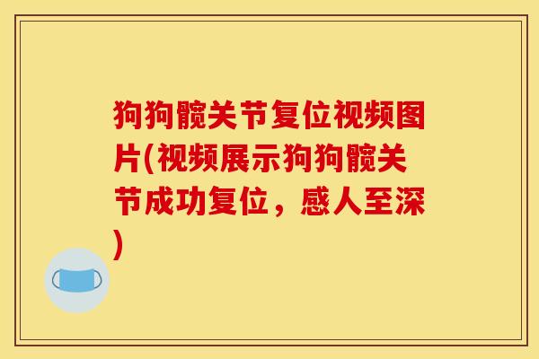 狗狗髋关节复位视频图片(视频展示狗狗髋关节成功复位，感人至深)
