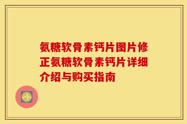 氨糖软骨素钙片图片修正氨糖软骨素钙片详细介绍与购买指南
