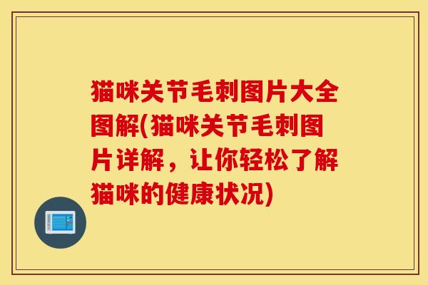 猫咪关节毛刺图片大全图解(猫咪关节毛刺图片详解，让你轻松了解猫咪的健康状况)
