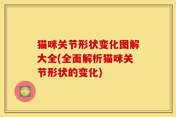 猫咪关节形状变化图解大全(全面解析猫咪关节形状的变化)