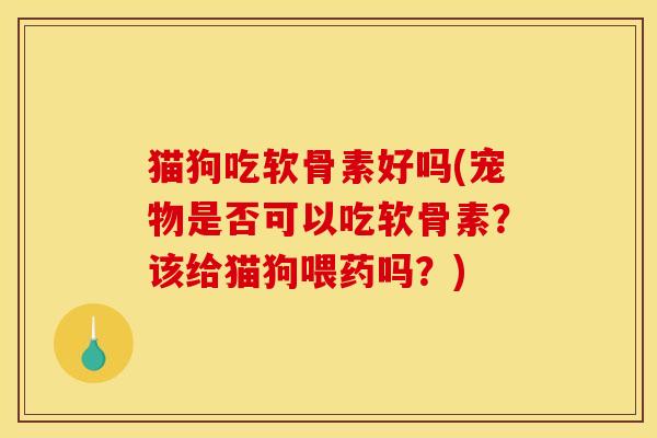 猫狗吃软骨素好吗(宠物是否可以吃软骨素？该给猫狗喂药吗？)