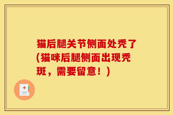 猫后腿关节侧面处秃了(猫咪后腿侧面出现秃斑，需要留意！)