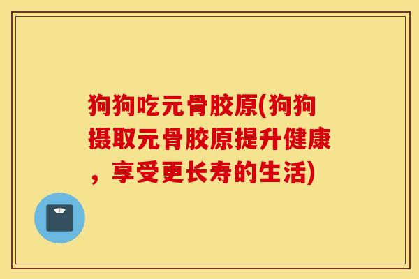 狗狗吃元骨胶原(狗狗摄取元骨胶原提升健康，享受更长寿的生活)