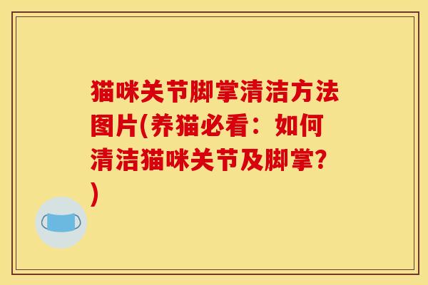 猫咪关节脚掌清洁方法图片(养猫必看：如何清洁猫咪关节及脚掌？)
