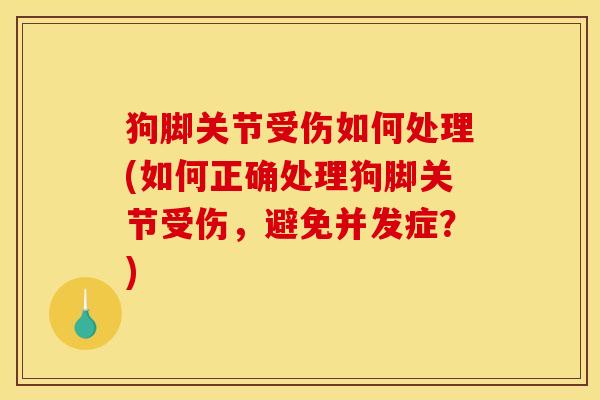 狗脚关节受伤如何处理(如何正确处理狗脚关节受伤，避免并发症？)