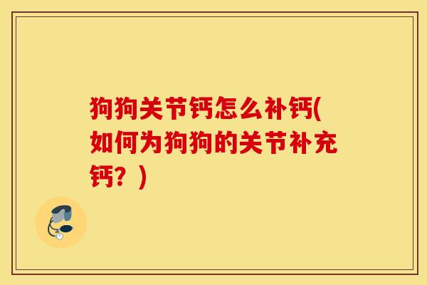 狗狗关节钙怎么补钙(如何为狗狗的关节补充钙？)