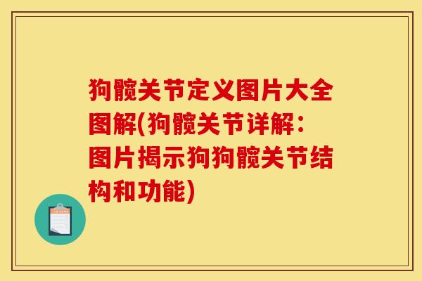 狗髋关节定义图片大全图解(狗髋关节详解:图片揭示狗狗髋关节结构和功能) 狗髋关节定义图片大全图解(狗髋关节详解:图片揭示狗狗髋关节结构和功能)