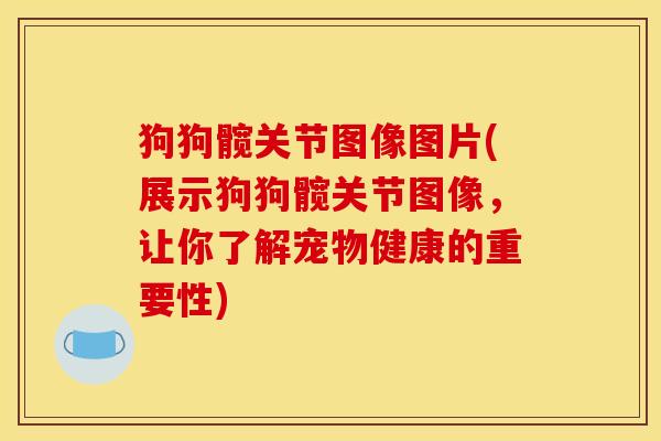 狗狗髋关节图像图片(展示狗狗髋关节图像,让你了解宠物健康的重要性) 狗狗髋关节图像图片(展示狗狗髋关节图像,让你了解宠物健康的重要性)