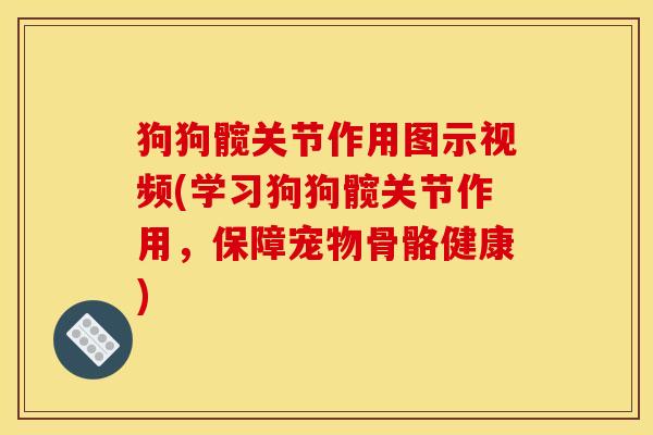 狗狗髋关节作用图示视频(学习狗狗髋关节作用，保障宠物骨骼健康)