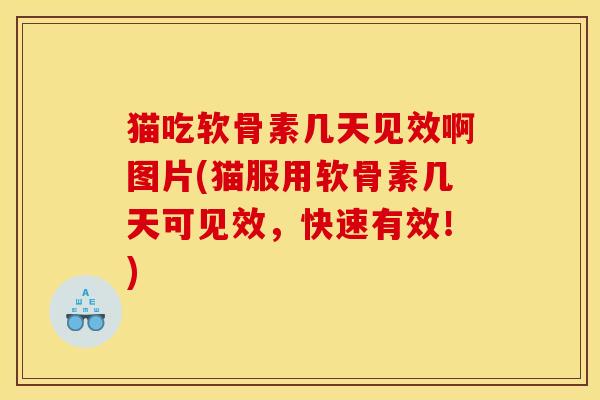 猫吃软骨素几天见效啊图片(猫服用软骨素几天可见效，快速有效！)