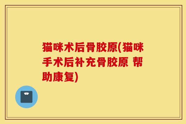 猫咪术后骨胶原(猫咪手术后补充骨胶原 帮助康复)