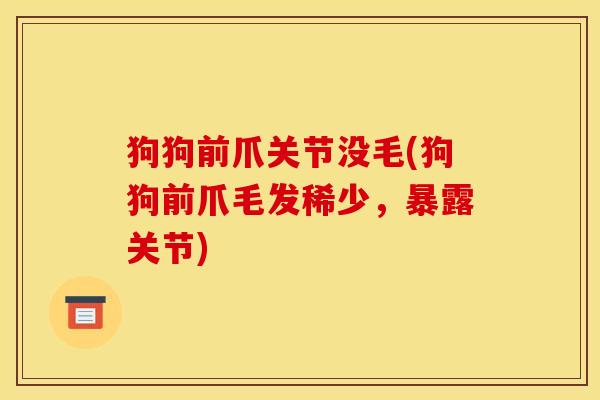 狗狗前爪关节没毛(狗狗前爪毛发稀少，暴露关节)