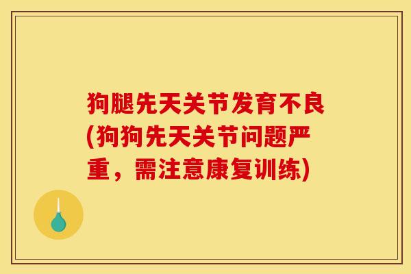 狗腿先天关节发育不良(狗狗先天关节问题严重，需注意康复训练)