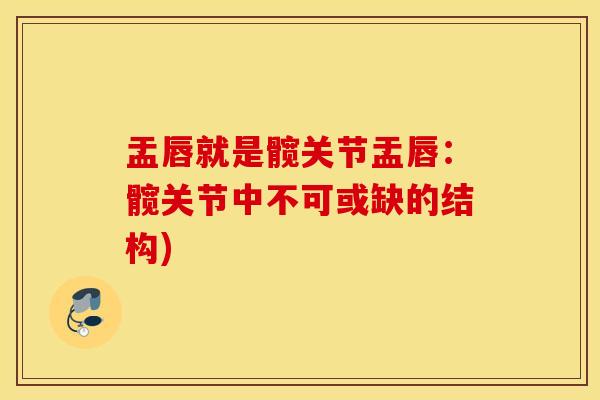 盂唇就是髋关节盂唇：髋关节中不可或缺的结构)