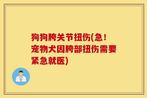 狗狗胯关节扭伤(急！宠物犬因胯部扭伤需要紧急就医)