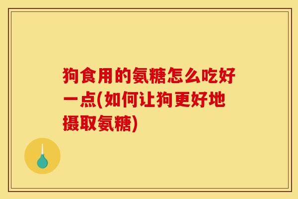 狗食用的氨糖怎么吃好一点(如何让狗更好地摄取氨糖)