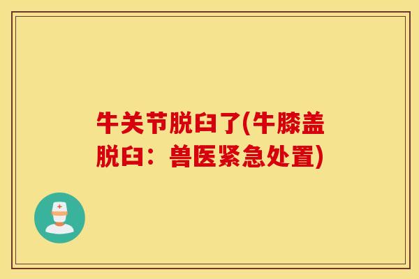牛关节脱臼了(牛膝盖脱臼：兽医紧急处置)
