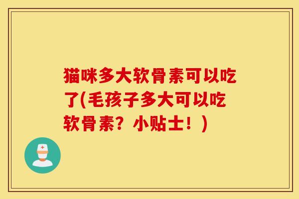 猫咪多大软骨素可以吃了(毛孩子多大可以吃软骨素？小贴士！)
