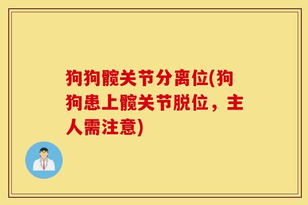 狗狗髋关节分离位(狗狗患上髋关节脱位，主人需注意)