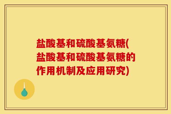 盐酸基和硫酸基氨糖(盐酸基和硫酸基氨糖的作用机制及应用研究)