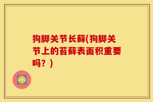 狗脚关节长藓(狗脚关节上的苔藓表面积重要吗？)