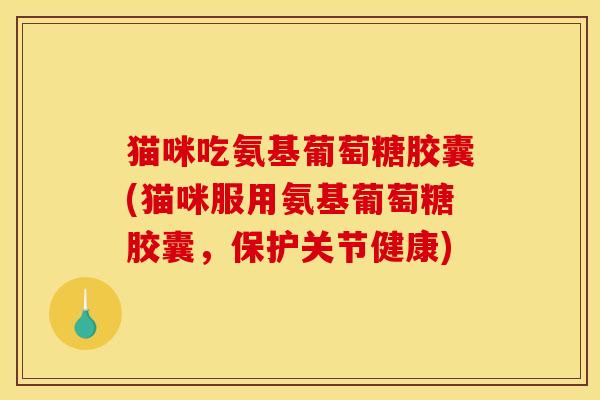 猫咪吃氨基葡萄糖胶囊(猫咪服用氨基葡萄糖胶囊，保护关节健康)