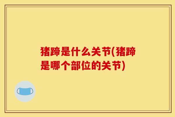 猪蹄是什么关节(猪蹄是哪个部位的关节) 猪蹄是什么关节(猪蹄是哪个部位的关节)