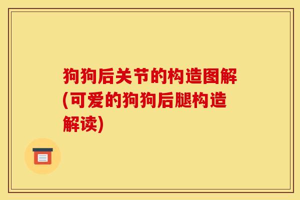 狗狗后关节的构造图解(可爱的狗狗后腿构造解读)