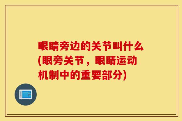 眼睛旁边的关节叫什么(眼旁关节，眼睛运动机制中的重要部分)