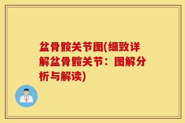 盆骨髋关节图(细致详解盆骨髋关节：图解分析与解读)