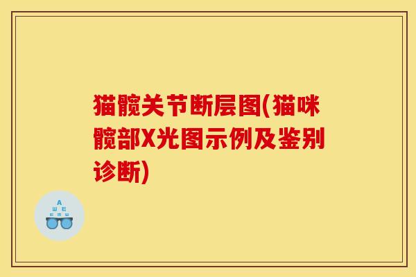 猫髋关节断层图(猫咪髋部X光图示例及鉴别诊断) 猫髋关节断层图(猫咪髋部X光图示例及鉴别诊断)