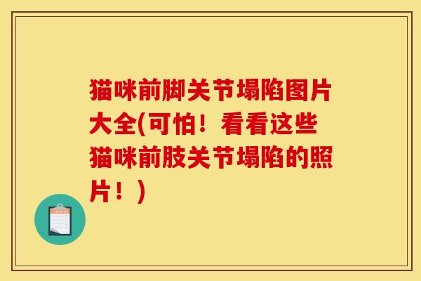 猫咪前脚关节塌陷图片大全(可怕！看看这些猫咪前肢关节塌陷的照片！)