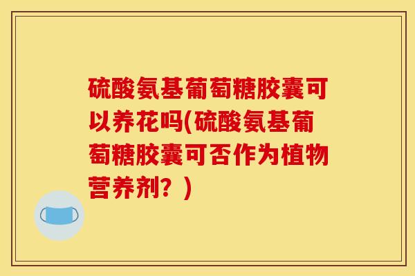 硫酸氨基葡萄糖胶囊可以养花吗(硫酸氨基葡萄糖胶囊可否作为植物营养剂？)