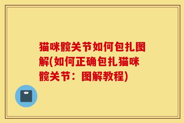 猫咪髋关节如何包扎图解(如何正确包扎猫咪髋关节：图解教程)