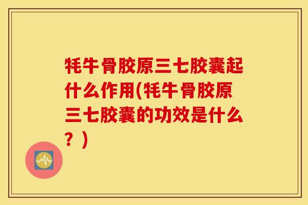 牦牛骨胶原三七胶囊起什么作用(牦牛骨胶原三七胶囊的功效是什么?) 牦牛骨胶原三七胶囊起什么作用(牦牛骨胶原三七胶囊的功效是什么?)