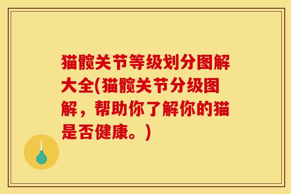 猫髋关节等级划分图解大全(猫髋关节分级图解，帮助你了解你的猫是否健康。)
