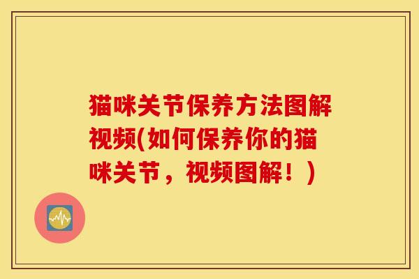 猫咪关节保养方法图解视频(如何保养你的猫咪关节，视频图解！)