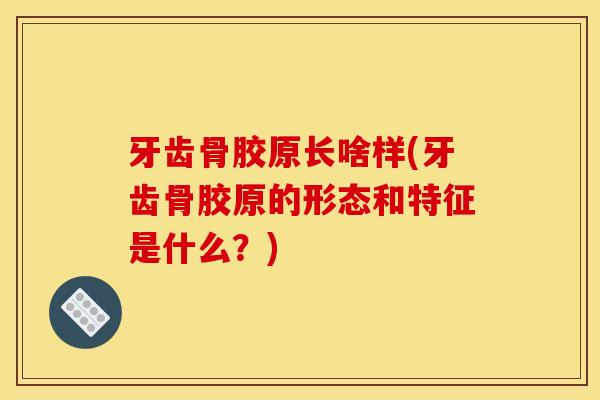 牙齿骨胶原长啥样(牙齿骨胶原的形态和特征是什么？)