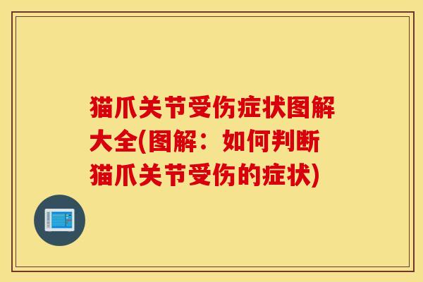 猫爪关节受伤症状图解大全(图解：如何判断猫爪关节受伤的症状)
