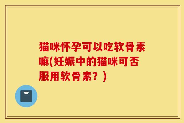 猫咪怀孕可以吃软骨素嘛(妊娠中的猫咪可否服用软骨素？)