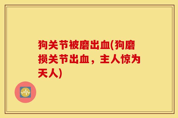 狗关节被磨出血(狗磨损关节出血，主人惊为天人)