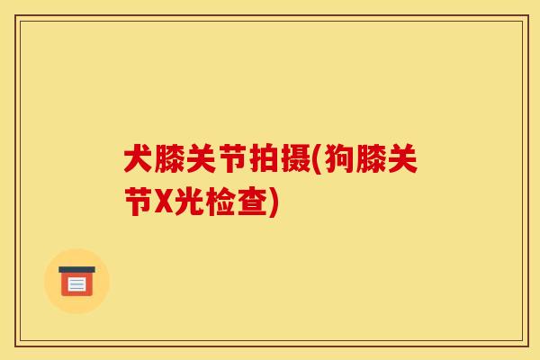犬膝关节拍摄(狗膝关节X光检查)