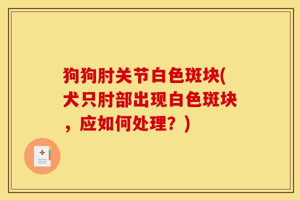 狗狗肘关节白色斑块(犬只肘部出现白色斑块，应如何处理？)