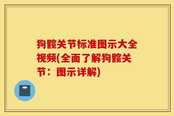 狗髋关节标准图示大全视频(全面了解狗髋关节：图示详解)